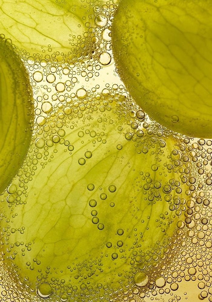 Radiant Skin Starts Here